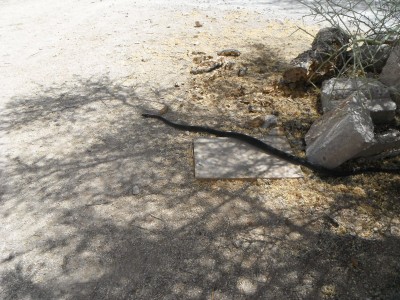 DSCF6218.JPG