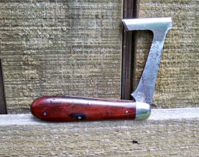 Cam 101 Timber Scribe_a.JPG