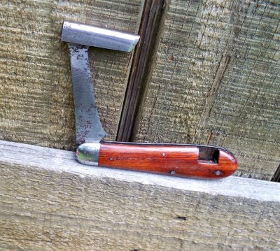 Cam 101 Timber Scribe.JPG