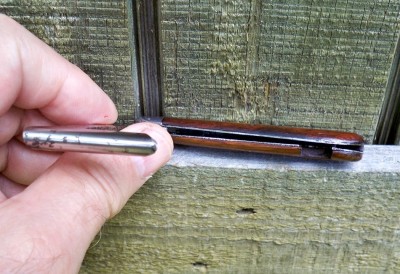 Cam 101 Timber Scribe_d.JPG