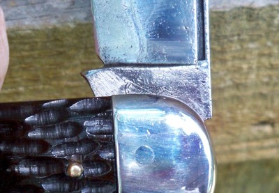 Camillus Elaphant Toe_e.JPG