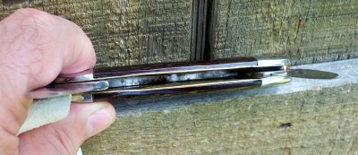 Camillus Elaphant Toe_f.JPG