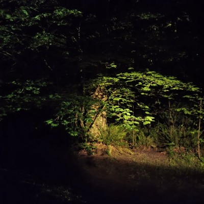 20220530_000110.jpg
