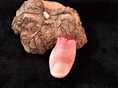 TOE.jpg