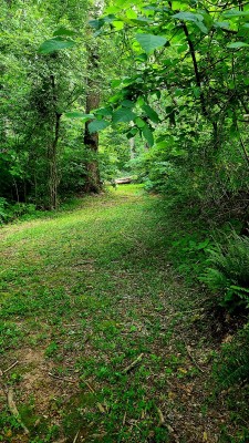 20220601_144940.jpg