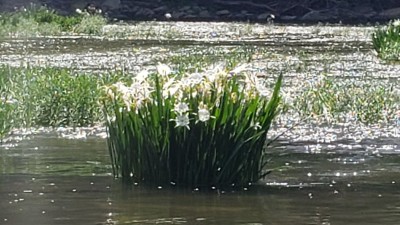 20220604_104121.jpg