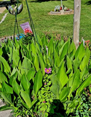20220605_092731.jpg