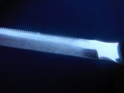 DSCF6531.JPG