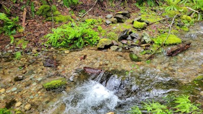 20220613_093054.jpg