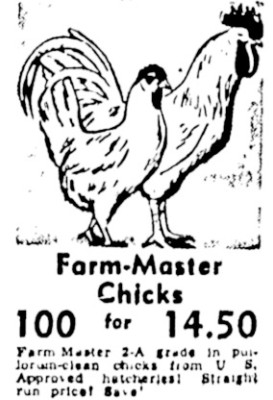 Sears Ad.