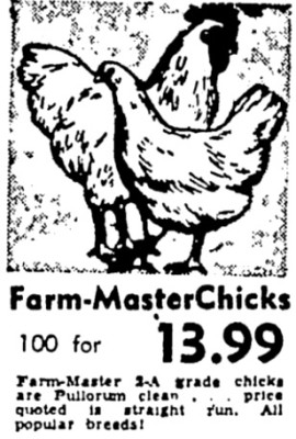 Sears Ad.