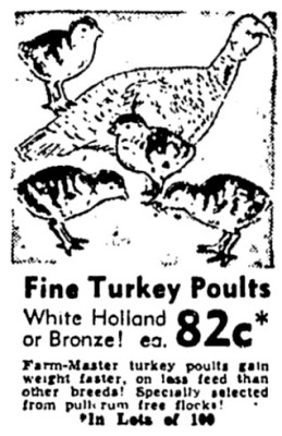 Sears Ad.