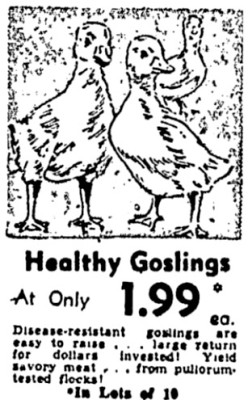 Sears Ad.