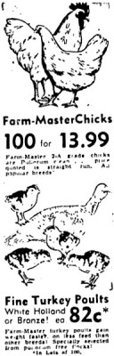 Sears Ads.