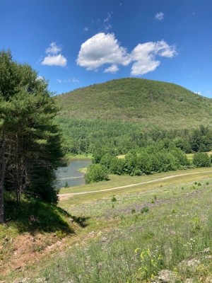 Sinnemahoning SP Stevenson dam.jpg