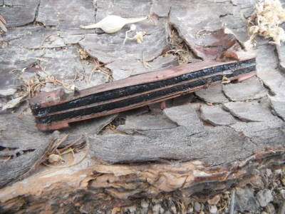 DSCF6731.JPG