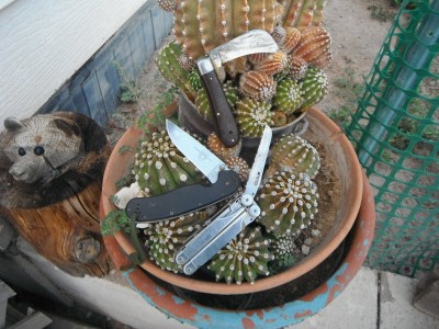DSCF6804.JPG