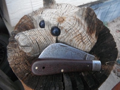 DSCF6806.JPG