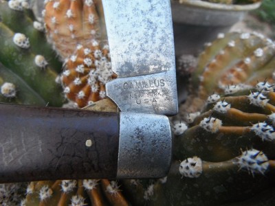 DSCF6810.JPG