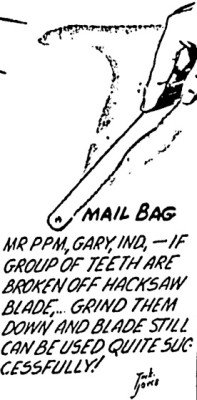 image.jpeg