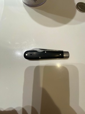 Vinny EO-3.jpg
