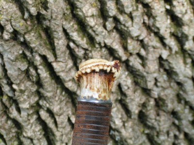 PICT0013.JPG