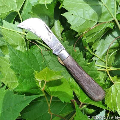 Kutmaster Hawkbill With Branches.jpg