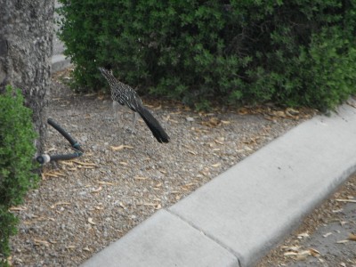 DSCF6853.JPG