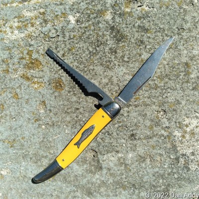 Yella Fish Knife.jpg