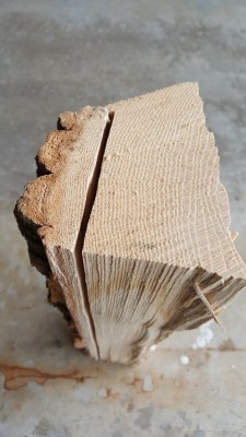 20180217_130422.jpg