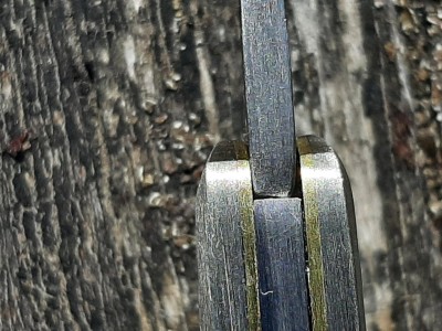 thumbnail_20220711_113633.jpg