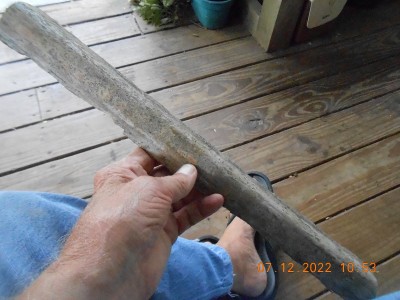 Part of the dried limb the spoon came from.
