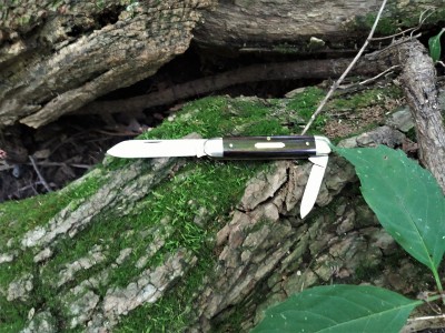 Tidioute White Owl on a log.jpg