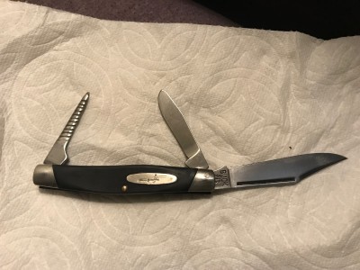 Buck 319 Rancher