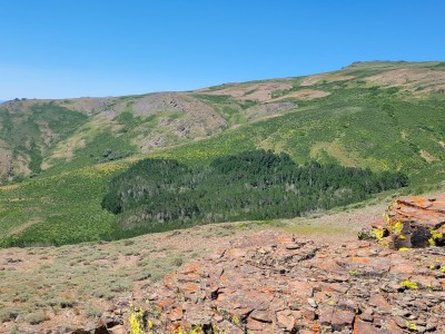 20220721_111522.jpg