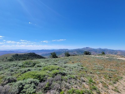 20220721_095839.jpg