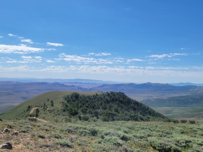 20220721_095537.jpg