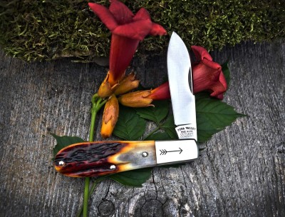 2022-tuna-norman-amber-01loBF.jpg