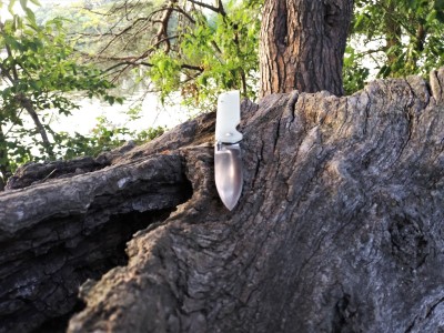 QSP by the creek.jpg