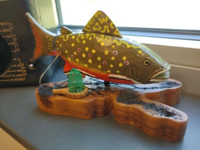 fish.jpg