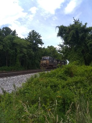 IMG_20220728_112122372.jpg