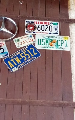 IMG_20220730_131532_663.jpg