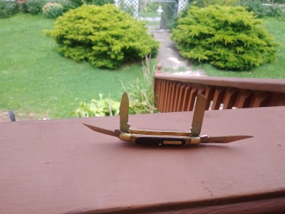 20220730_124221.jpg