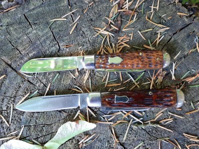 thumbnail_20220731_113930.jpg