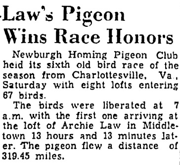 image.jpeg