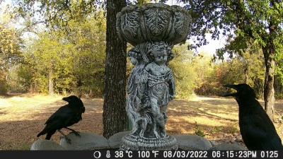DSCF0125.JPG