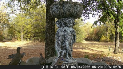 DSCF0276.JPG