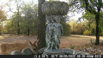 DSCF0315.JPG