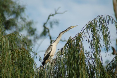 DSC_0024.JPG