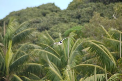 DSC_0099.JPG
